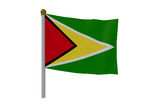 Guyana Breeze Pole animated flag GIF