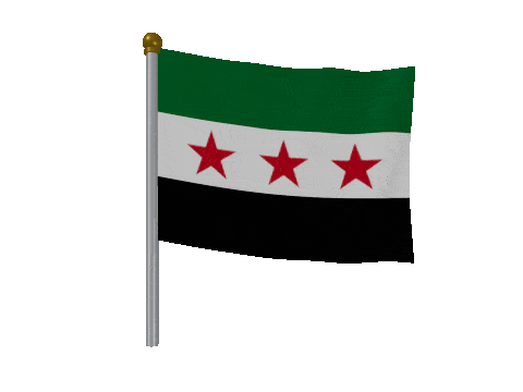 Syria Breeze Pole animated flag GIF