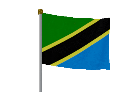Tanzania Breeze Pole animated flag GIF