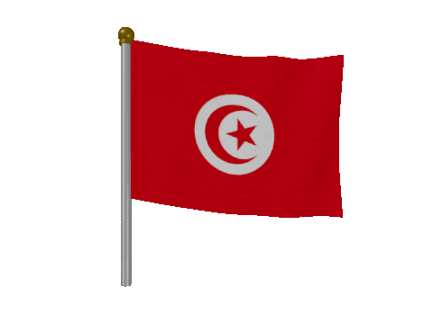 Tunisia Breeze Pole animated flag GIF