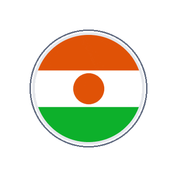 Niger Circle Orbit animated flag GIF