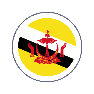 Brunei Circle Ripple animated flag GIF