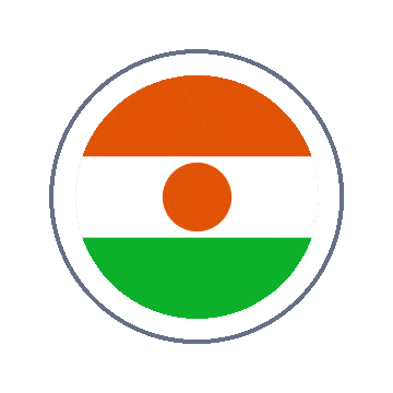 Niger Circle Ripple animated flag GIF