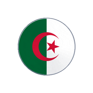 Algeria Vinyl Spin animated flag GIF