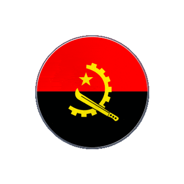 Angola Vinyl Spin animated flag GIF