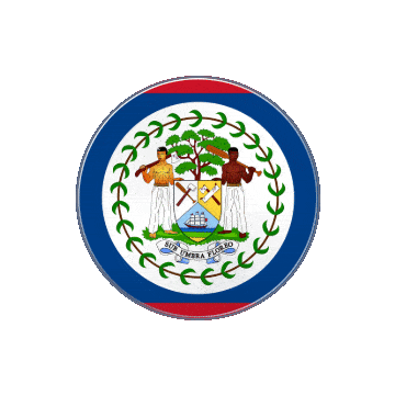 Belize Vinyl Spin animated flag GIF