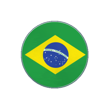 Brazil Vinyl Spin animated flag GIF