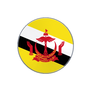 Brunei Vinyl Spin animated flag GIF