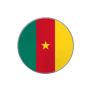 Cameroon Vinyl Spin animated flag GIF
