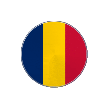 Chad Vinyl Spin animated flag GIF