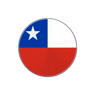 Chile Vinyl Spin animated flag GIF