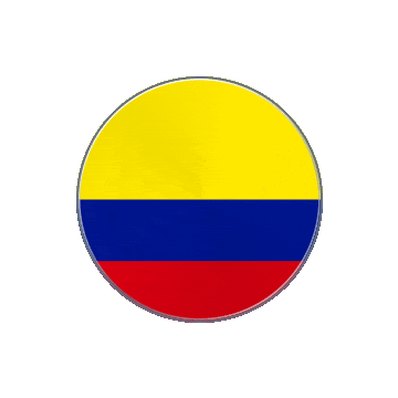 Colombia Vinyl Spin animated flag GIF