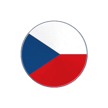 Czechia Vinyl Spin animated flag GIF