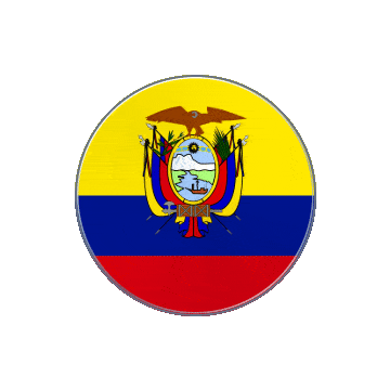 Ecuador Vinyl Spin animated flag GIF