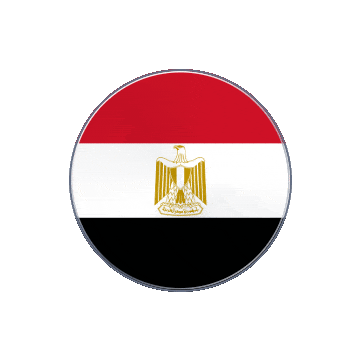 Egypt Vinyl Spin animated flag GIF