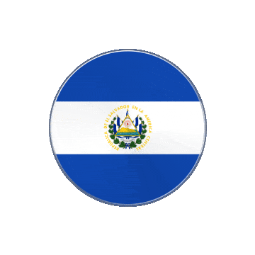 El Salvador Vinyl Spin animated flag GIF
