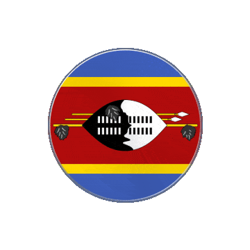 Eswatini Vinyl Spin animated flag GIF