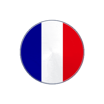 France Vinyl Spin animated flag GIF