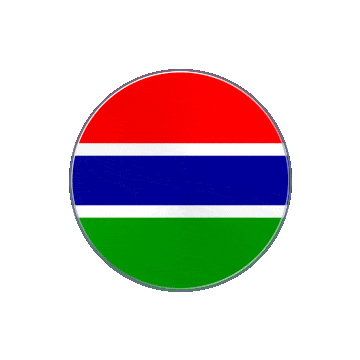 Gambia Vinyl Spin animated flag GIF