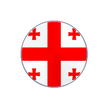 Georgia Vinyl Spin animated flag GIF