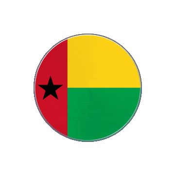 Guinea Bissau Vinyl Spin animated flag GIF