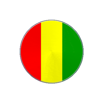 Guinea Vinyl Spin animated flag GIF