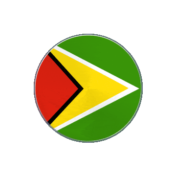 Guyana Vinyl Spin animated flag GIF