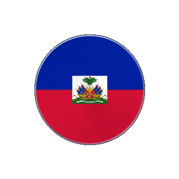 Haiti Vinyl Spin animated flag GIF