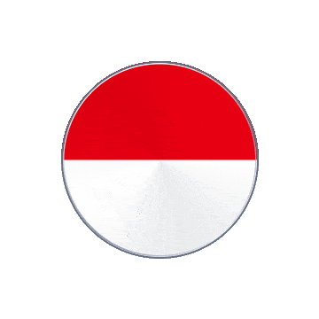 Indonesia Vinyl Spin animated flag GIF
