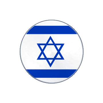 Israel Vinyl Spin animated flag GIF