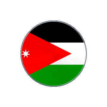 Jordan Vinyl Spin animated flag GIF