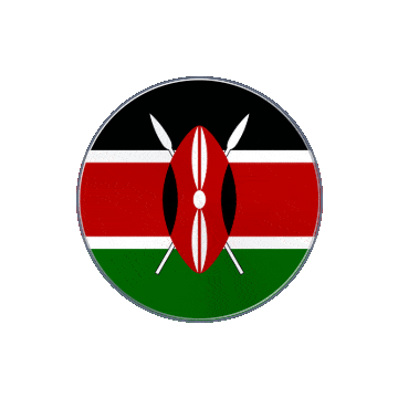 Kenya Vinyl Spin animated flag GIF