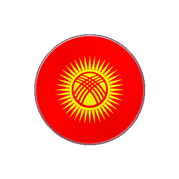 Kyrgyzstan Vinyl Spin animated flag GIF