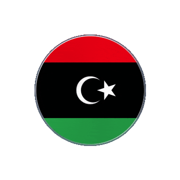 Libya Vinyl Spin animated flag GIF