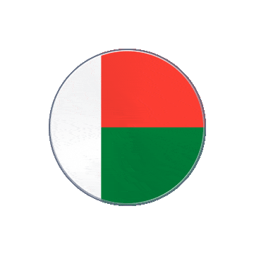 Madagascar Vinyl Spin animated flag GIF