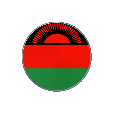 Malawi Vinyl Spin animated flag GIF