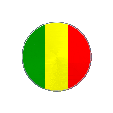 Mali Vinyl Spin animated flag GIF