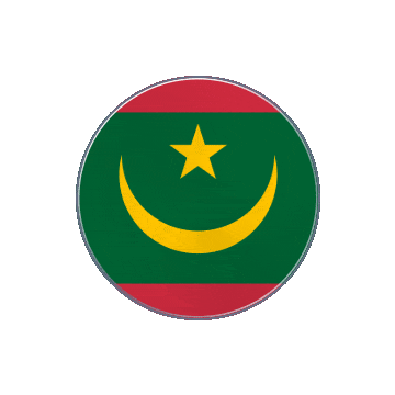 Mauritania Vinyl Spin animated flag GIF