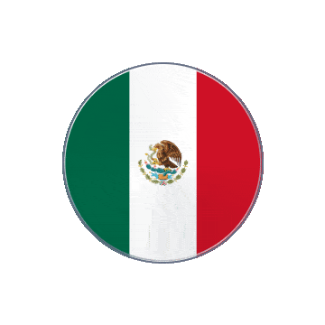Mexico Vinyl Spin animated flag GIF