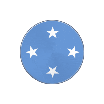 Micronesia Vinyl Spin animated flag GIF
