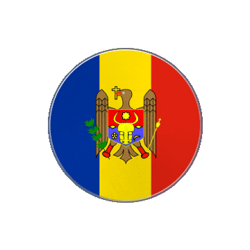 Moldova Vinyl Spin animated flag GIF