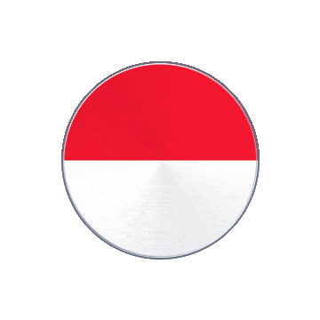 Monaco Vinyl Spin animated flag GIF