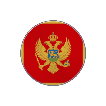 Montenegro Vinyl Spin animated flag GIF