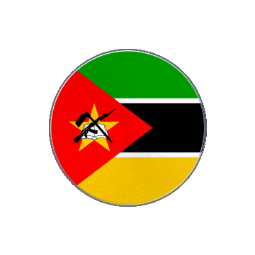 Mozambique Vinyl Spin animated flag GIF