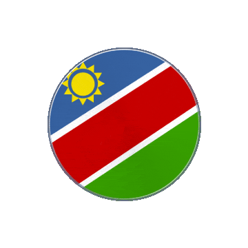 Namibia Vinyl Spin animated flag GIF