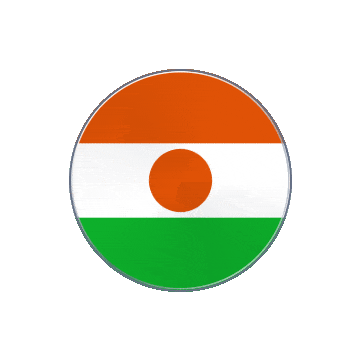 Niger Vinyl Spin animated flag GIF