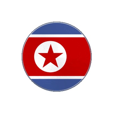 North Korea Vinyl Spin animated flag GIF