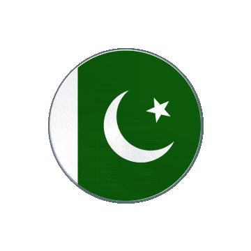 Pakistan Vinyl Spin animated flag GIF