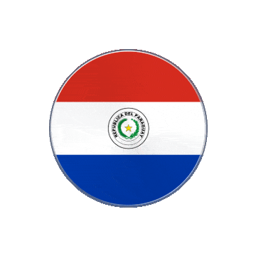 Paraguay Vinyl Spin animated flag GIF