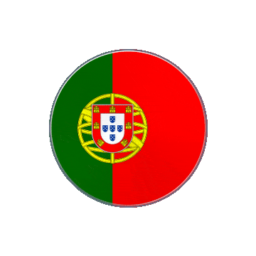 Portugal Vinyl Spin animated flag GIF
